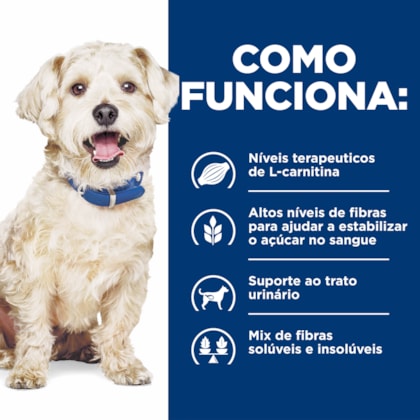 image_551aba83-2afa-4bae-8dbe-23362127adea