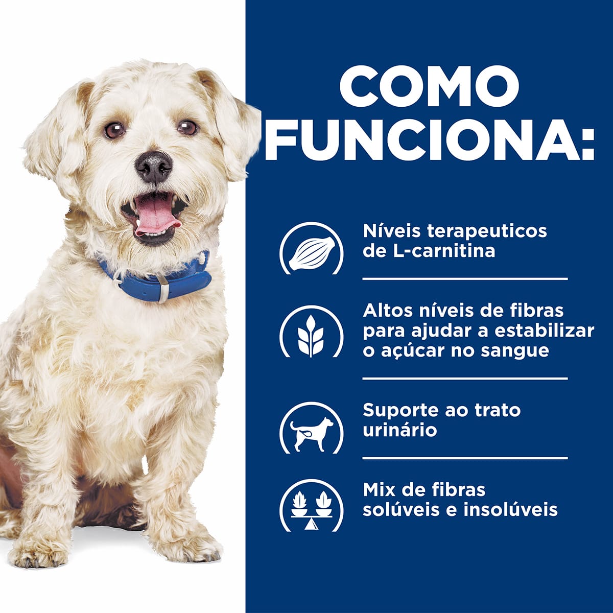 image_6b5247f2-c458-46c8-b8fc-bffc4ef2b648