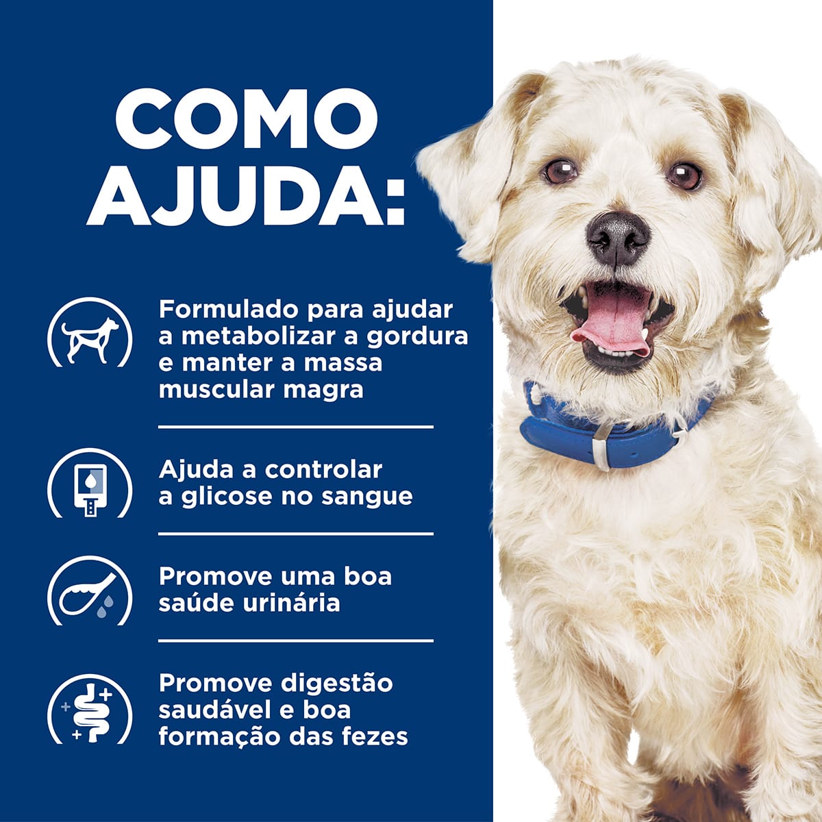 image_07ad7d43-af03-400a-94fe-90d31279c720