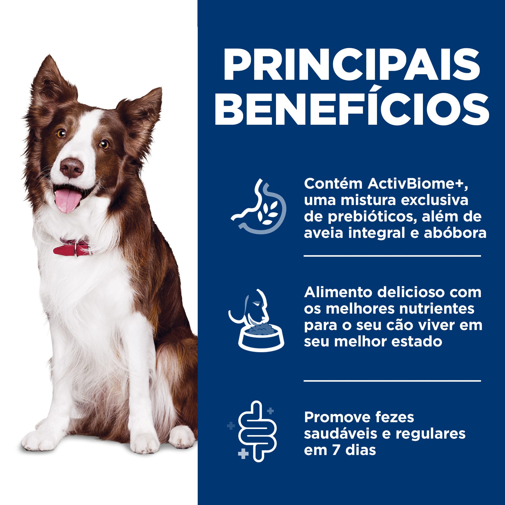 image_7215e8cd-b42c-453b-9bc8-23330beb61ba