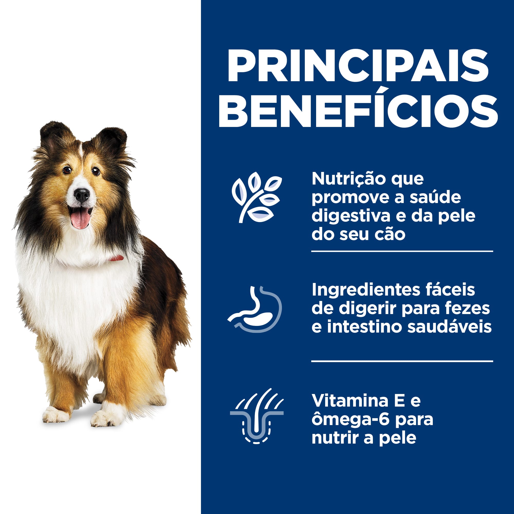 image_099eddb7-63ba-44f4-b0cf-c89e5f5db13d