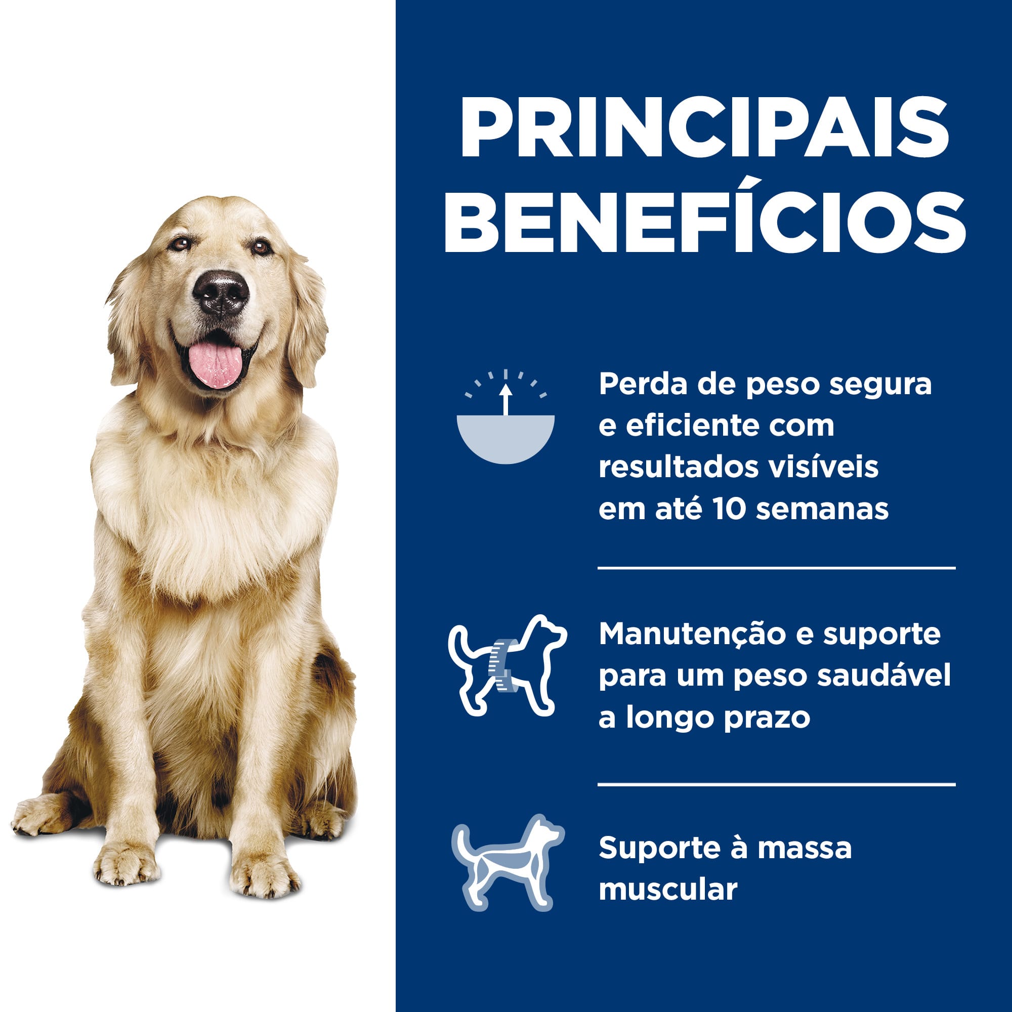 image_37de10c6-9da9-425a-92ac-a5c5e8407825