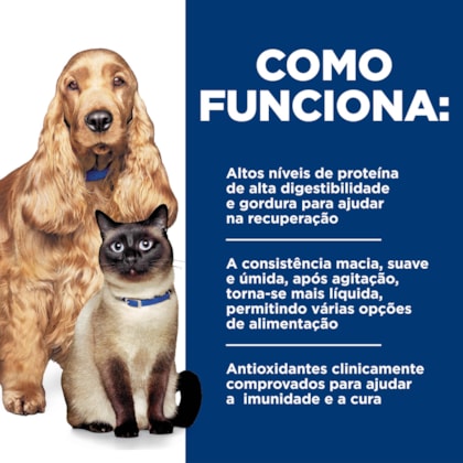 image_e167cbfa-2af6-4d78-8a52-1d5b4557f4c1