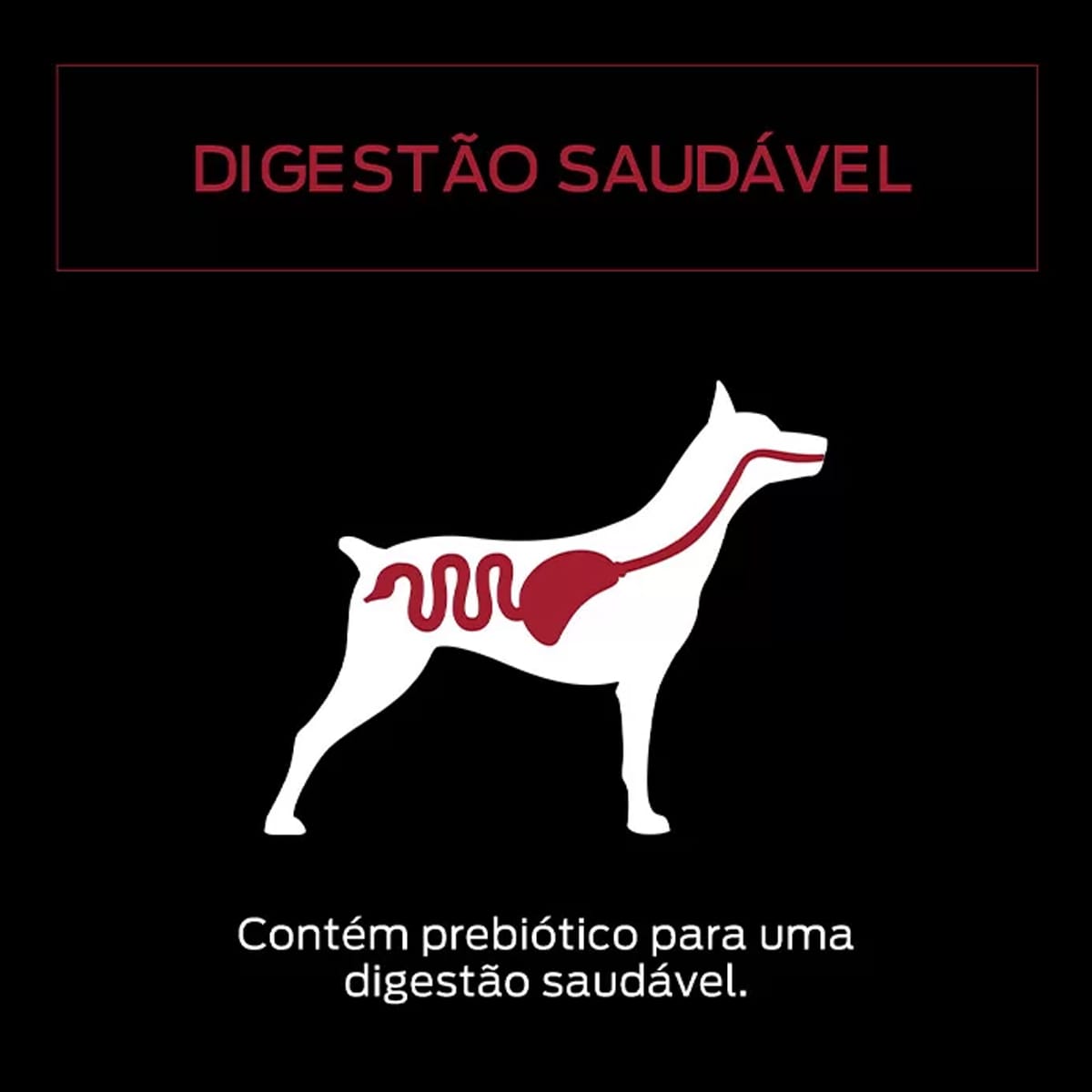 image_bae212a3-3f79-413d-996d-8e4057473cb9