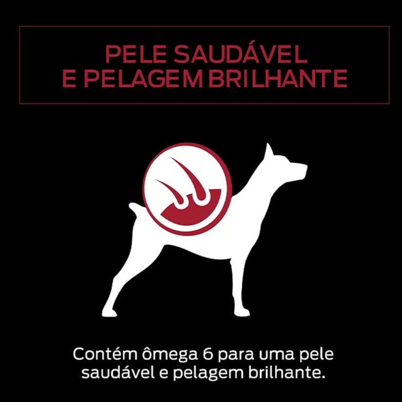 Product main image - 063ad427-0e73-4965-b2e1-76953982e3f9