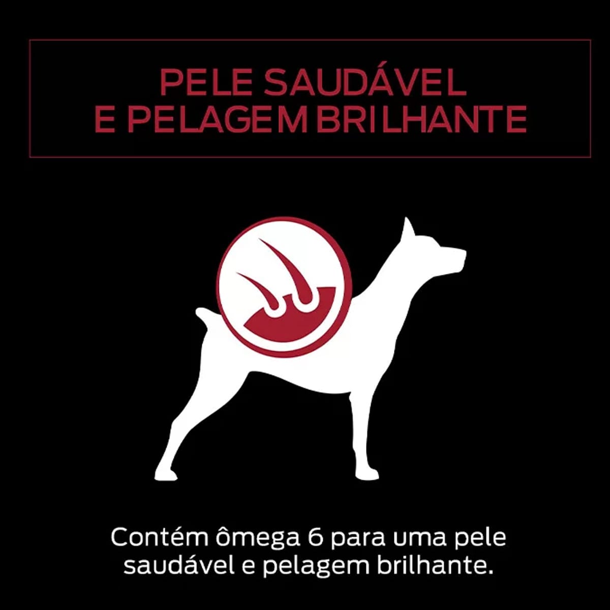 image_42b9e755-a98f-451d-8e67-6ad43a5a1828