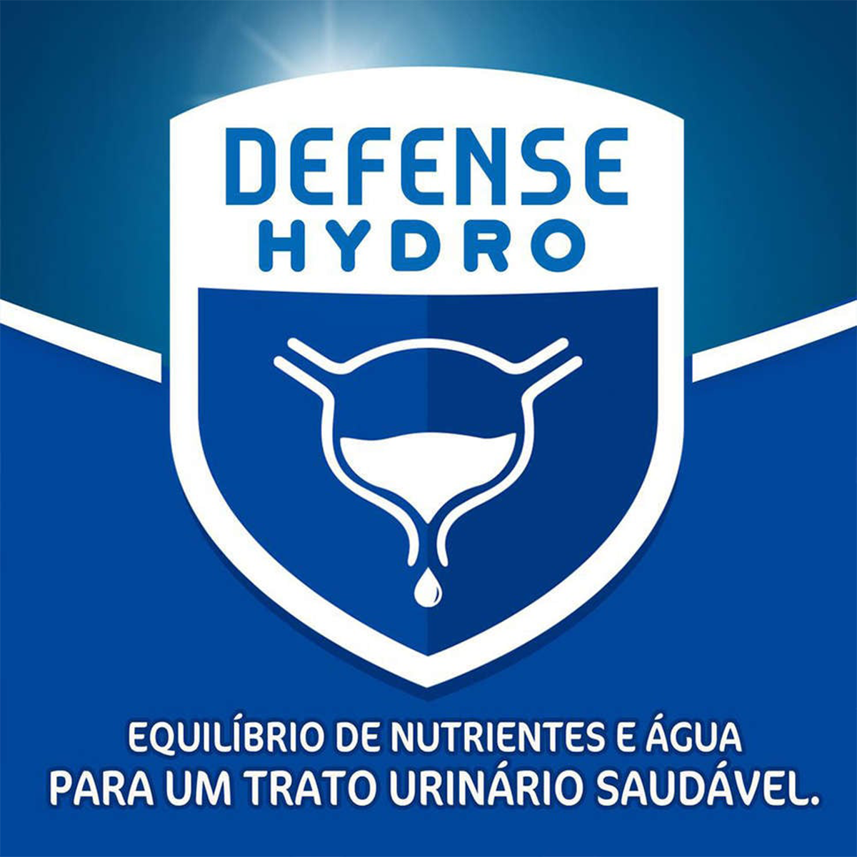 image_fc360167-7c42-4dcb-84d8-06a7db43c258