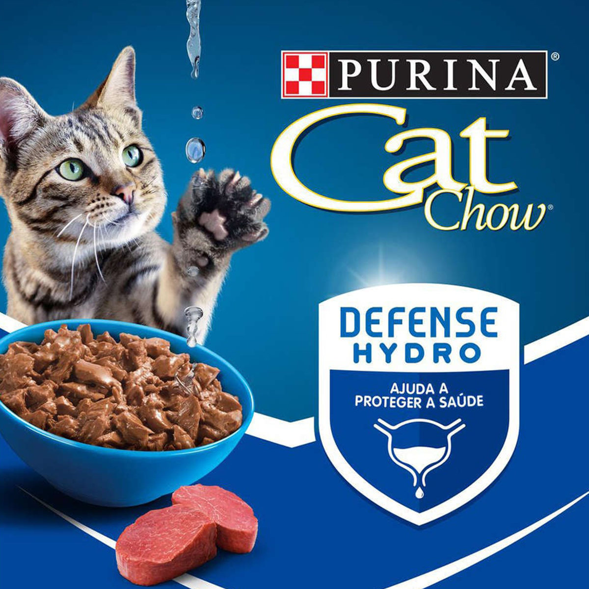 image_cea9da66-008b-41e7-b96e-3e163918c6f4