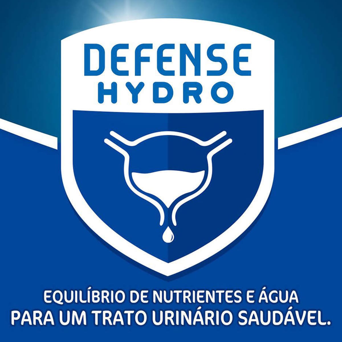 image_087ae0b1-0741-4c22-ba4f-73ff0369f079