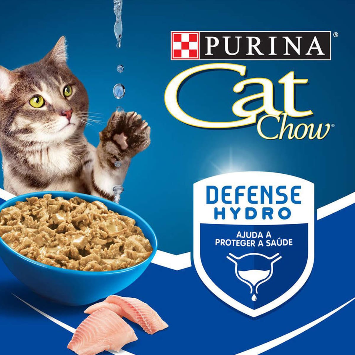 image_dc07eb67-7873-411e-8e42-24e2213db71a