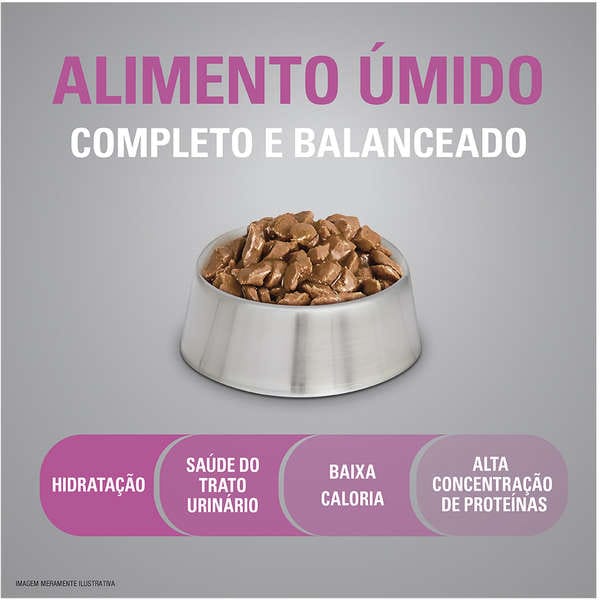 image_ff229197-6205-4e4c-8408-256e950f246b