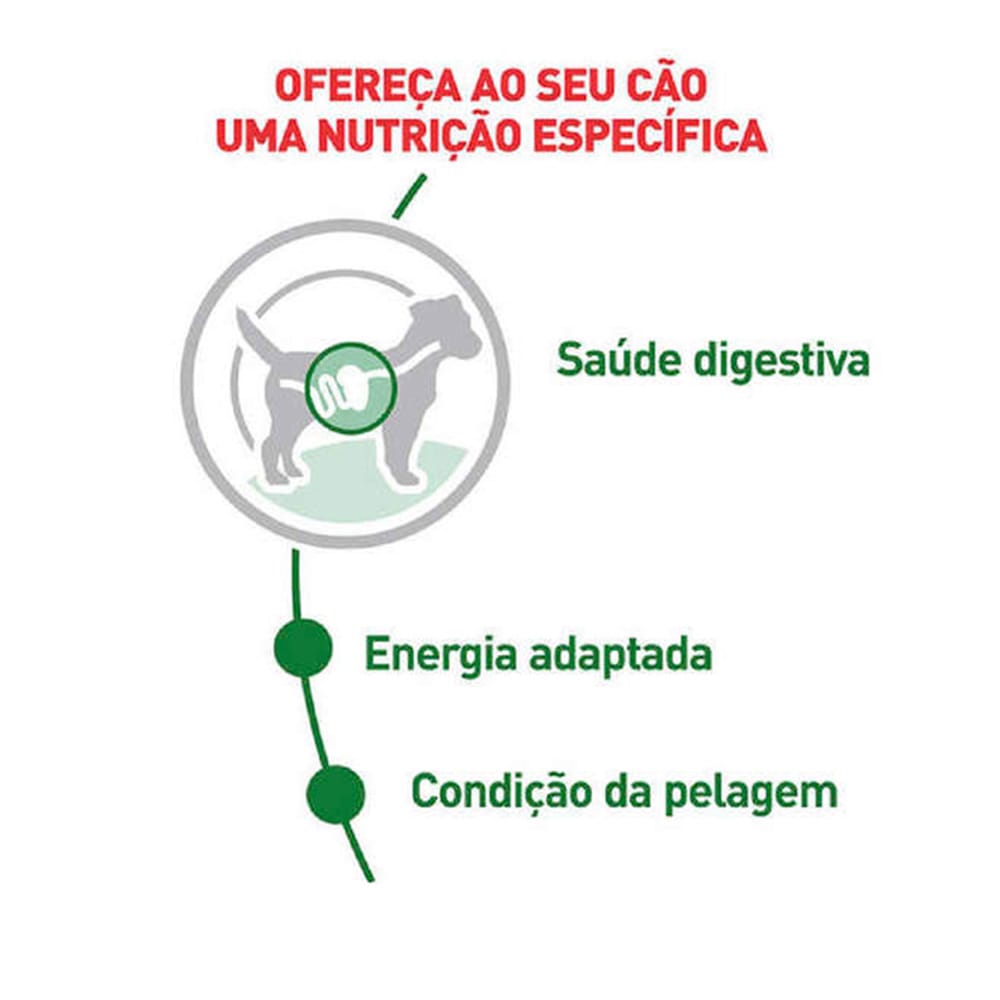 image_0ac58fe1-cea2-479a-898b-dab382b04067