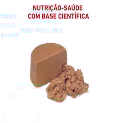 image_a4efa4f7-8033-4755-b7dc-59e61b4faf7d