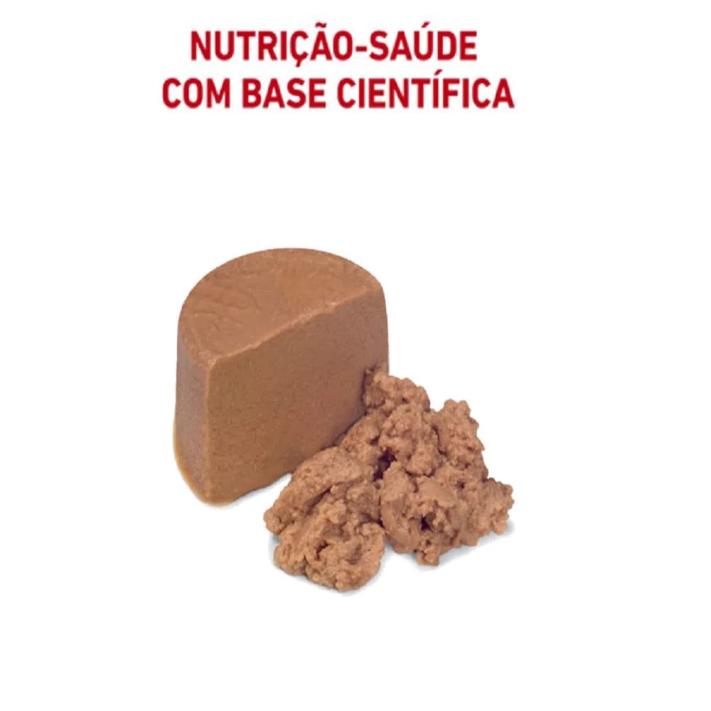 image_b49eb234-5bb4-492e-b35d-c210426e5ef4