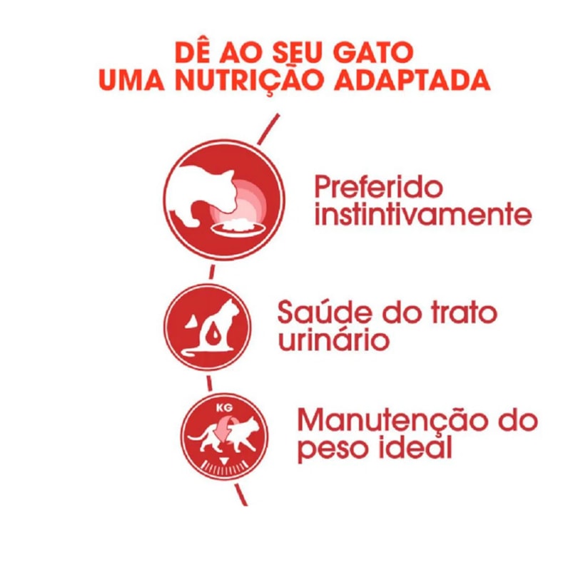 Product main image - 112f1979-e4e4-4704-87d7-c84a817e8d65