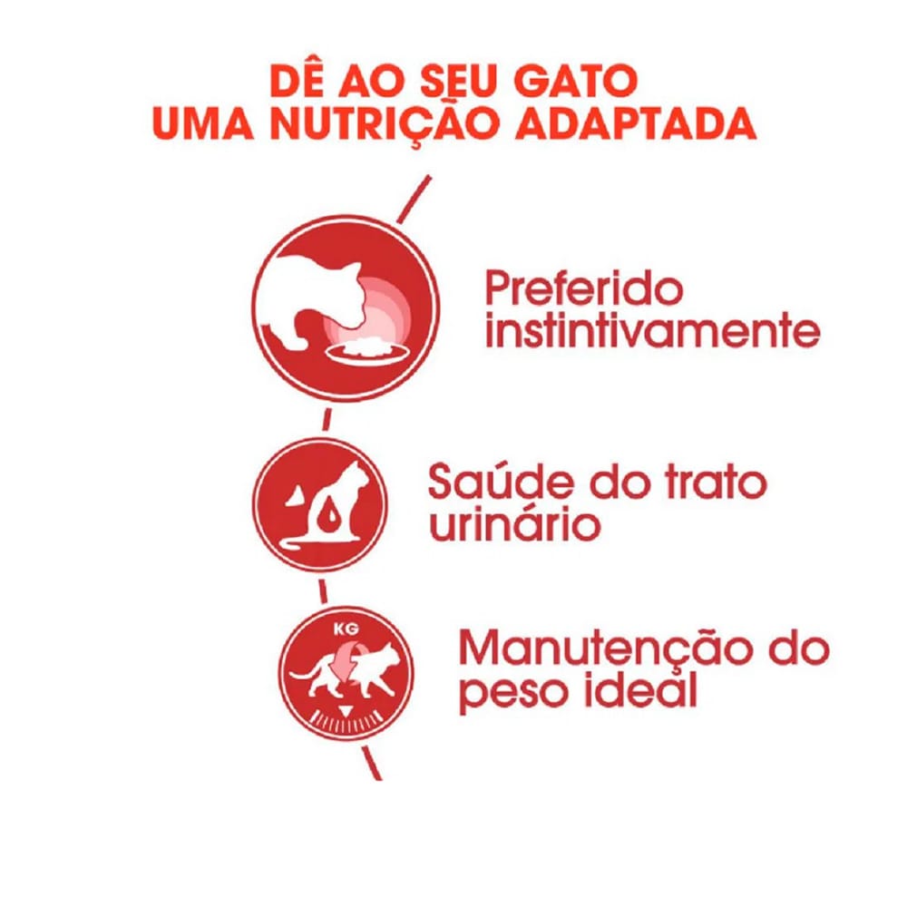 image_898b5f56-6071-4b43-a5b6-d4d1400d1668