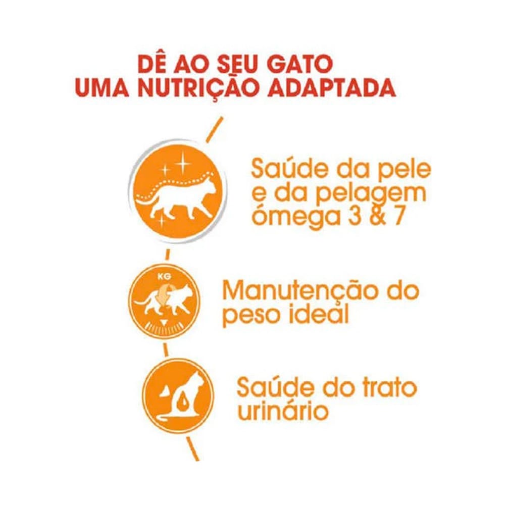 image_b6277a0a-9096-4cbc-979e-247ed44b0ef8