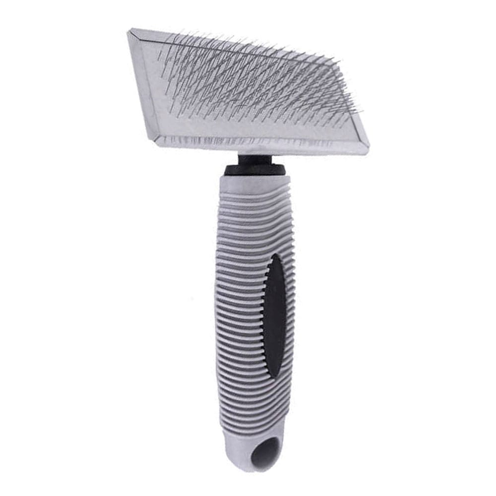 image_19ff03d7-b68c-4dd9-8665-3c68d59e3053