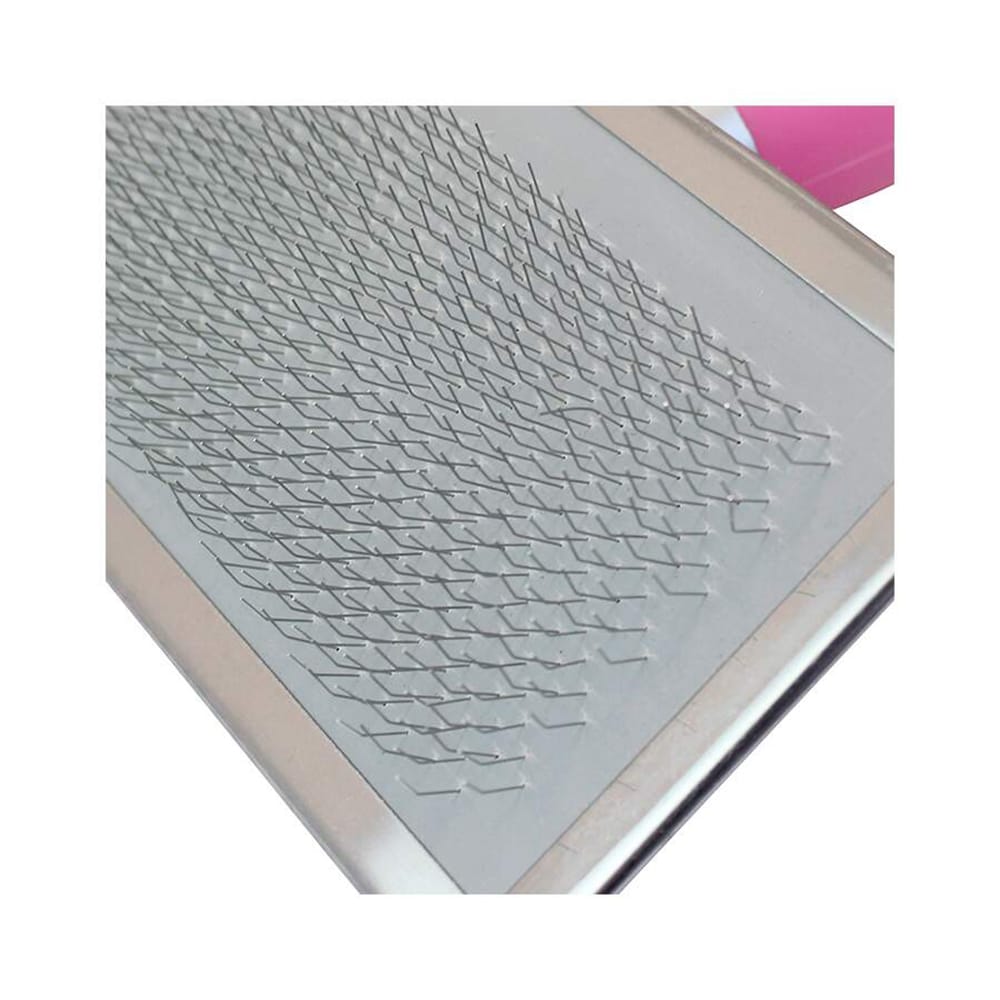 image_c3a926ce-410a-4722-9265-2bbef6dab198