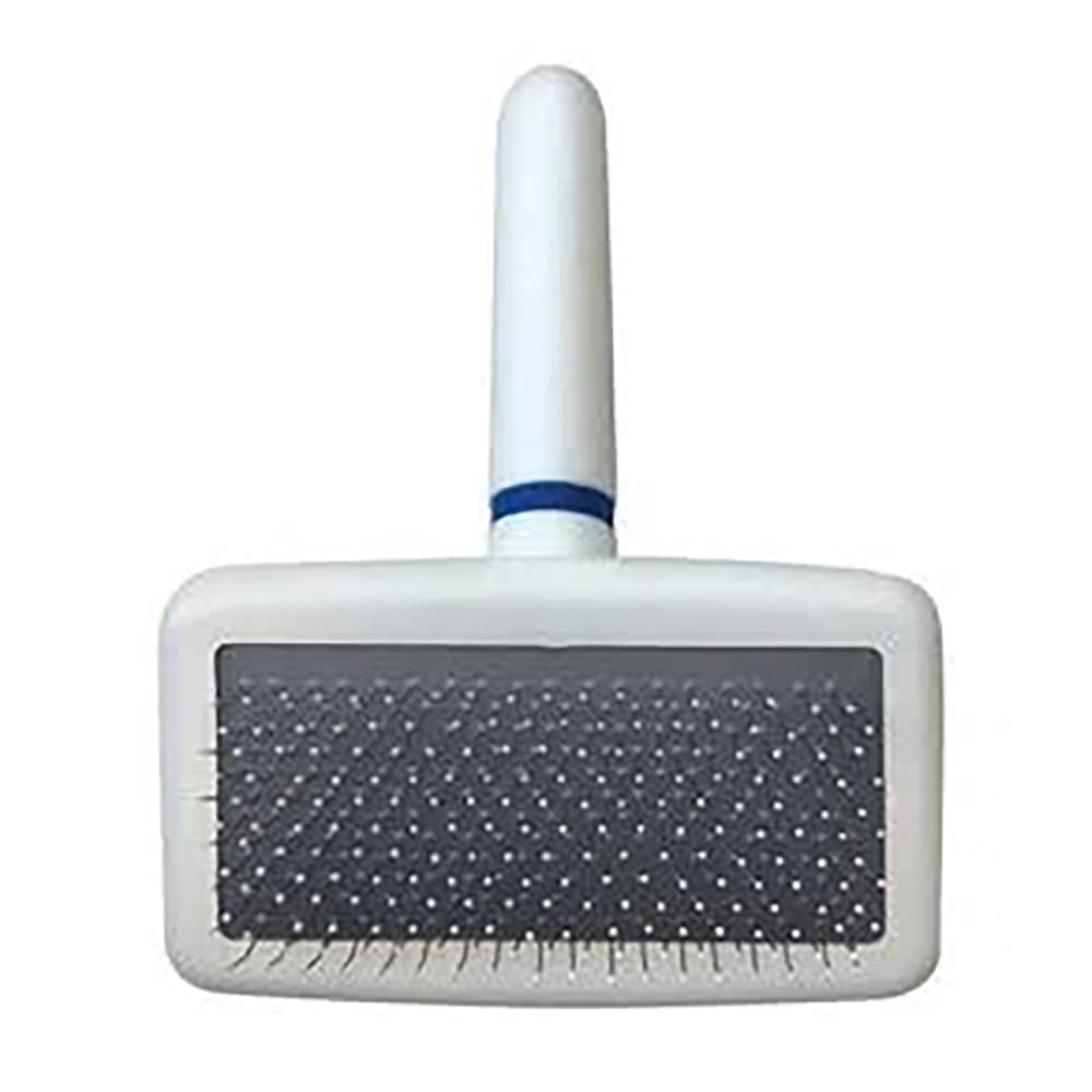 image_57042961-1cde-4691-96fd-1541accb8ce2