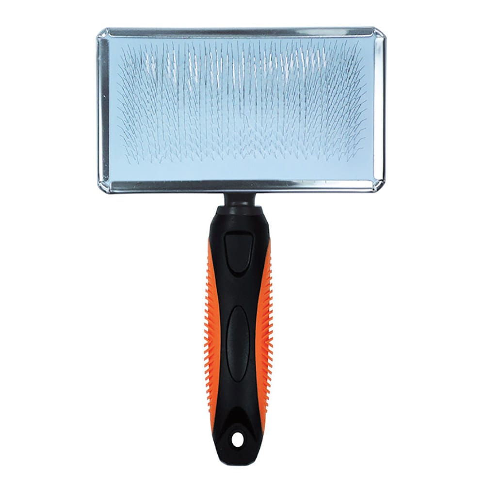 image_edb487fa-0ad4-4181-bcbe-12fd65e1a5ff