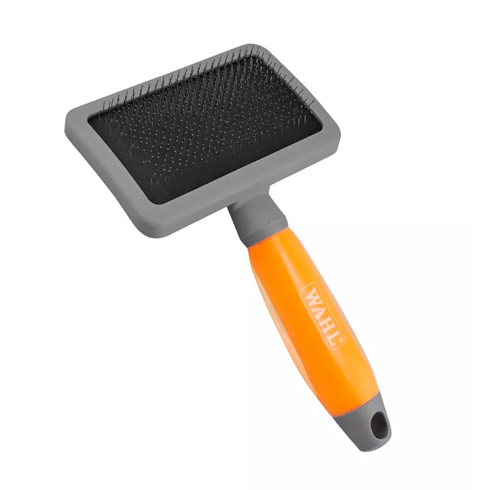 image_86b59ffc-9b88-4f00-9f0f-2355b7169f5f