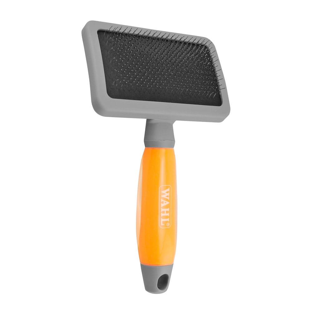 image_a1a44452-c4d2-4657-a2b3-51c40e519be4