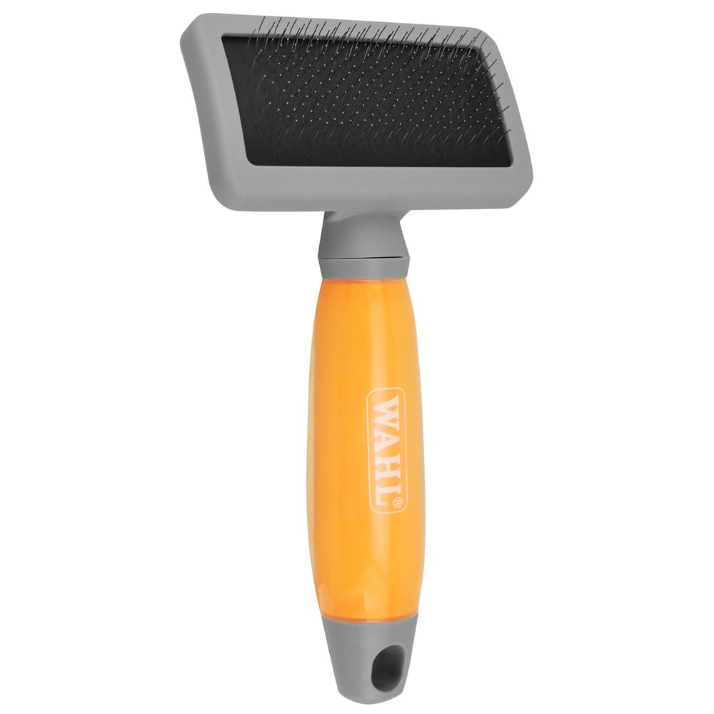 image_d530b98f-c5b5-4ac1-9004-e62022c92dd4