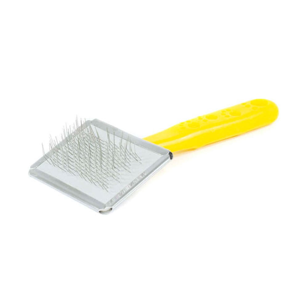 image_0c303267-249a-4428-b572-a4a5fccd4221