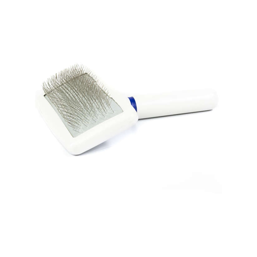 Product main image - c153fd73-d92b-4739-b65c-09e2424a1250