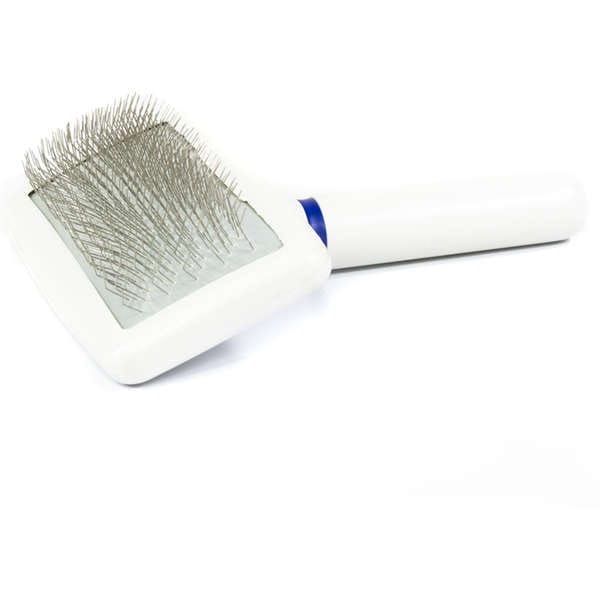 image_dbb8a21e-3c66-4a2b-a1d0-fbbb02ec1143