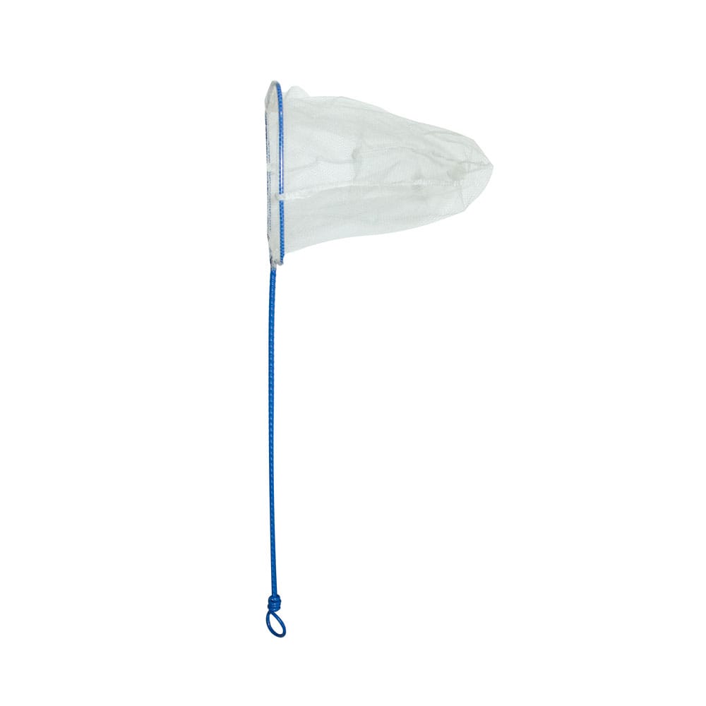 image_aeaee2dd-03ee-4d2b-8c2d-452b52be6638