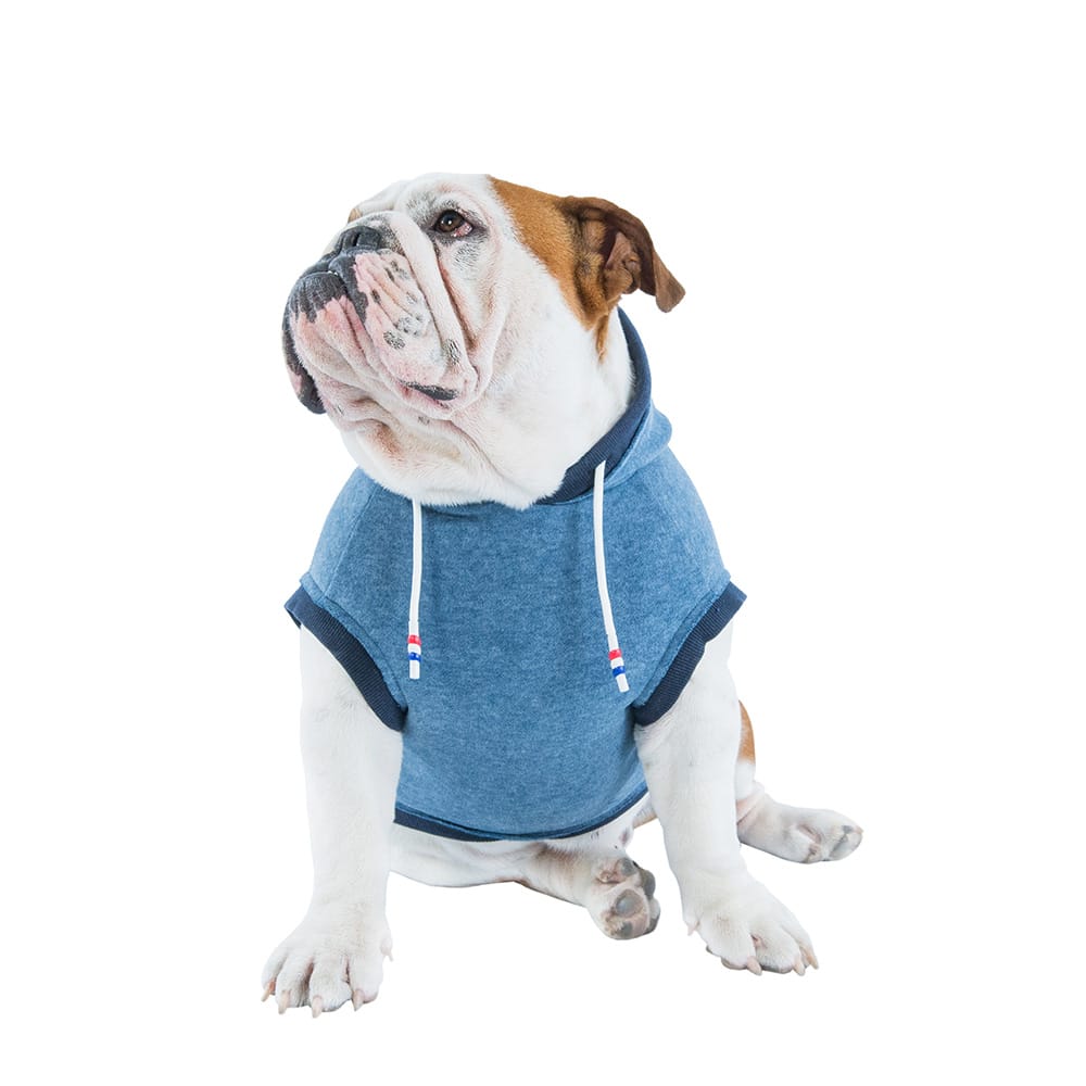 image_f8e23ead-9c42-4af7-9b94-4e0d88db47f3