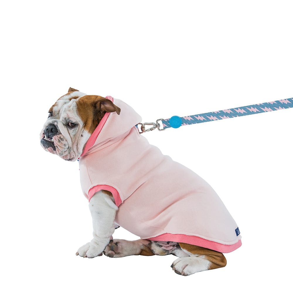 image_c949a1ed-228d-463e-8a9d-59686520bb9c