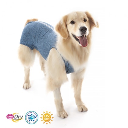 image_96694d53-7285-4b04-934b-504eb848e1e3