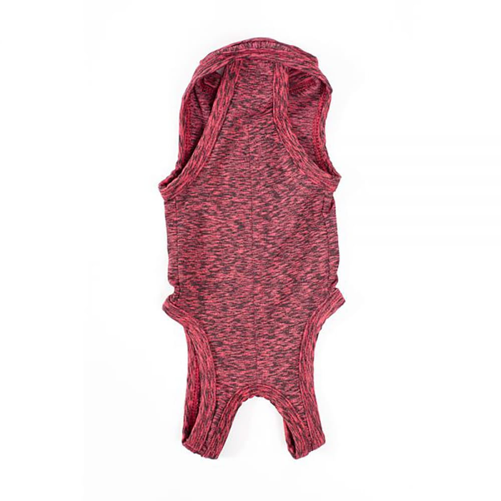 image_0db0475f-014f-4911-b9ae-190ca239ae53