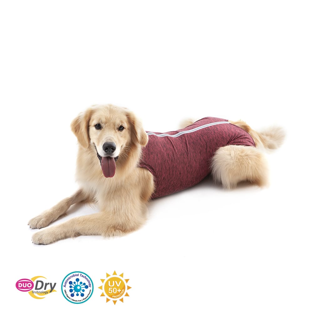 image_b42e9ac2-70f7-4f1b-aed1-df73cc2740eb