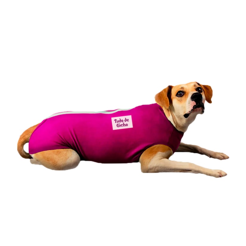 Product main image - 41096c03-4854-479f-9c1a-71aa838fd345