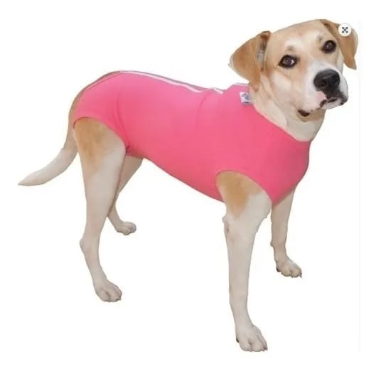 image_73aa597f-9016-4743-a6d7-f1f2b9b3cbc9