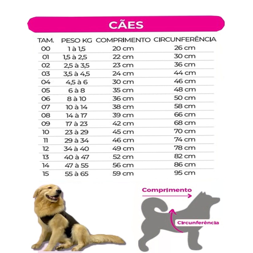 Product main image - 76066a1e-91e5-4c9a-8585-ea0a3688adcc