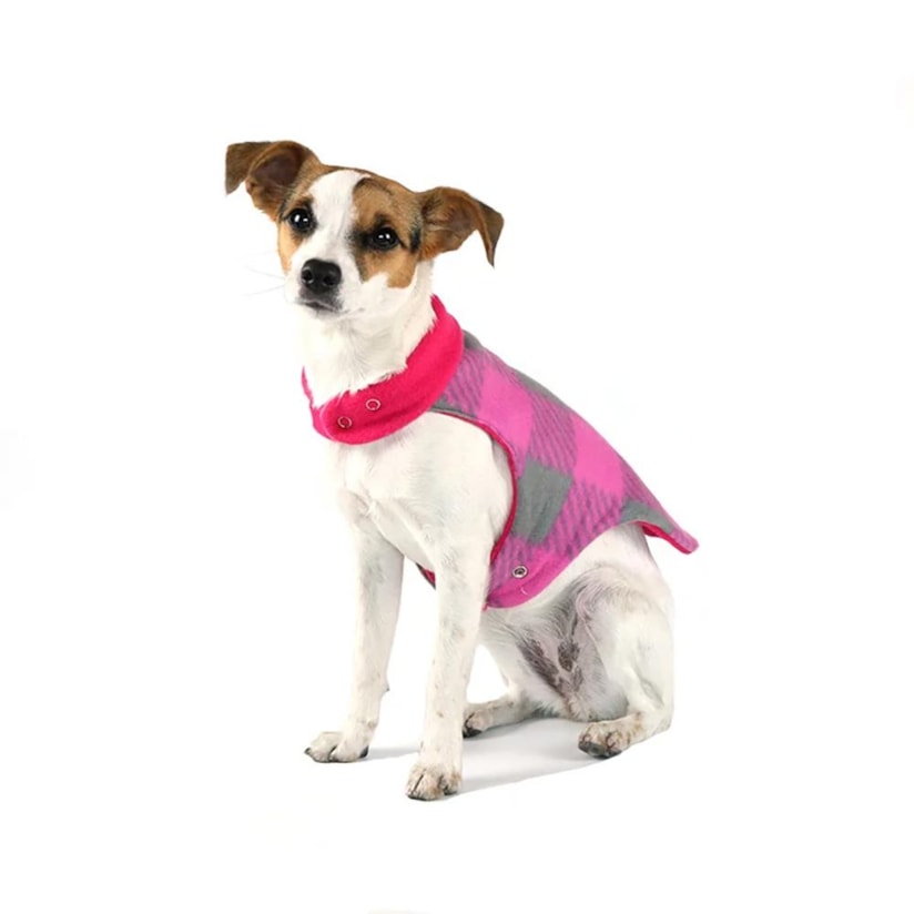 Product main image - f879f4e2-fb34-4a02-81a3-5ffc6feff8f7