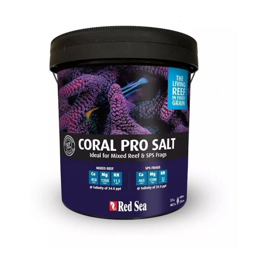 Product main image - ba7042a9-531e-4e5d-bc7a-8c0d686e3a09