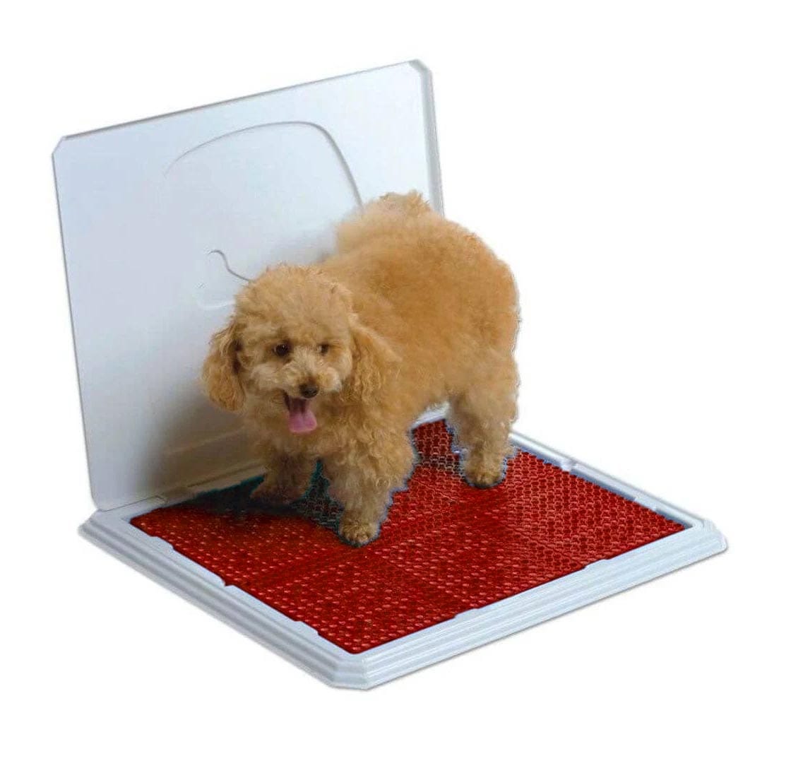 image_477a4fcd-7414-473c-abb8-ad84ccc4fbea