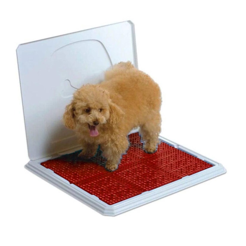 Product main image - 8c781df5-30b9-436b-bc47-8a9d35c218cb