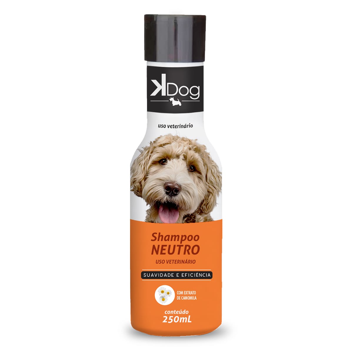 image_74e4c7ab-2d0f-410e-beda-543823850a3b