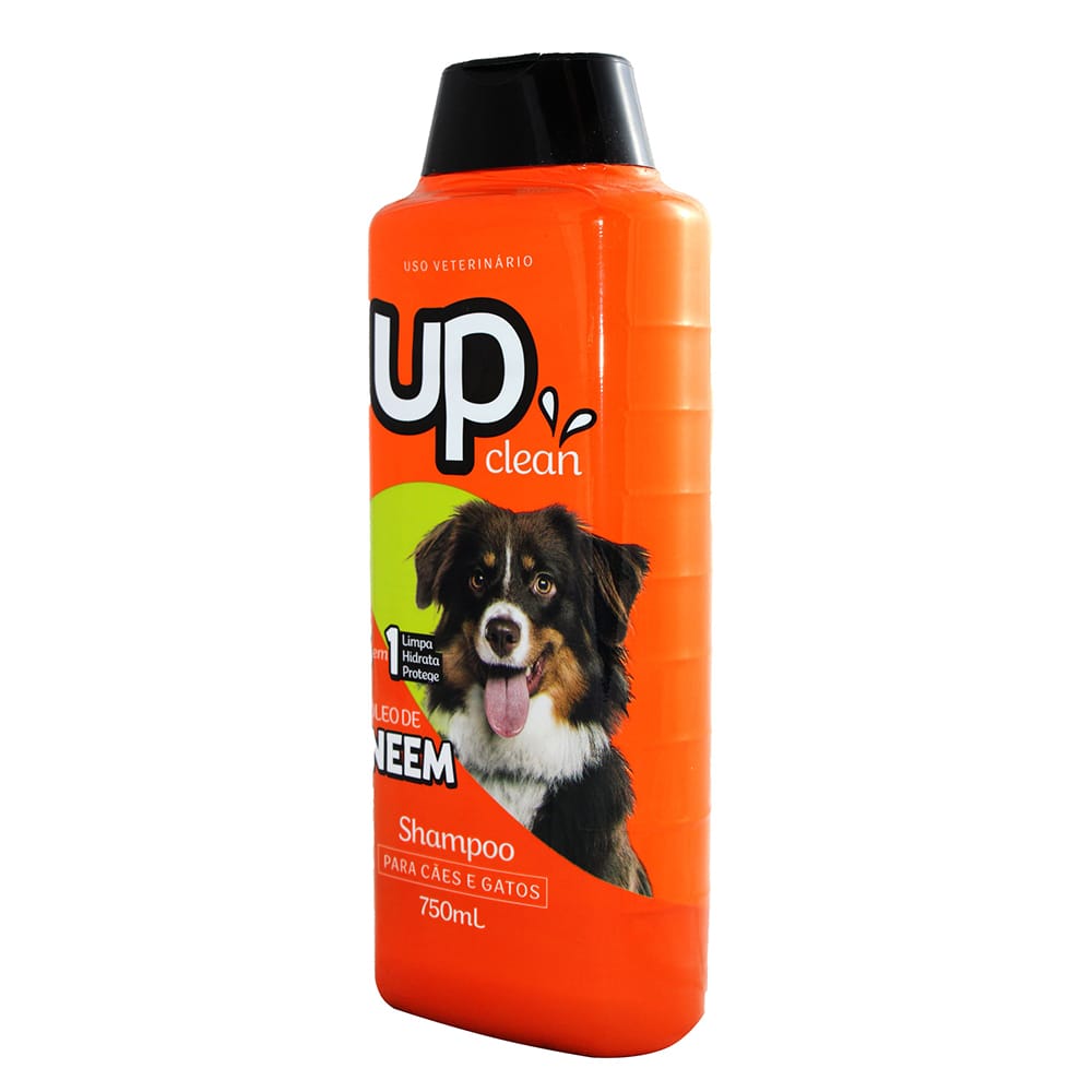 image_be6eeef4-a1fe-4e32-86ee-8185cbaf54e1