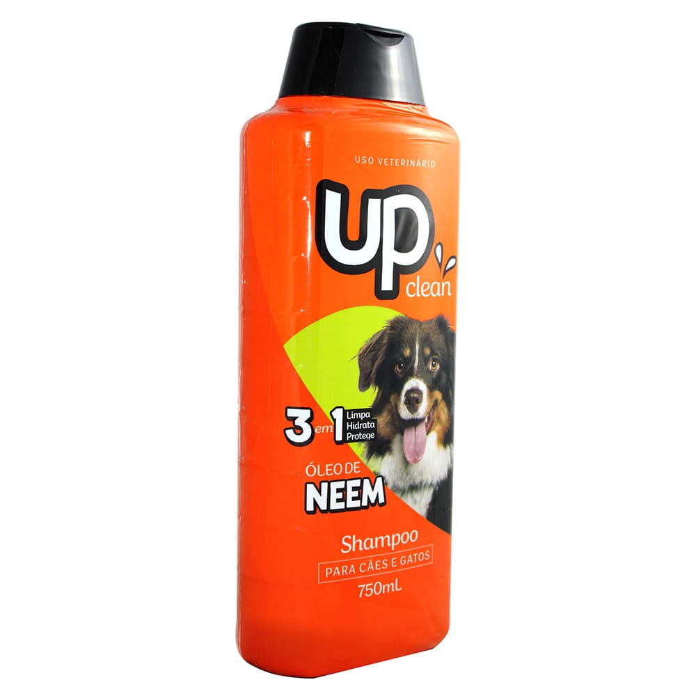 image_ea184de5-f781-4cf0-aa7a-3b07d880717e