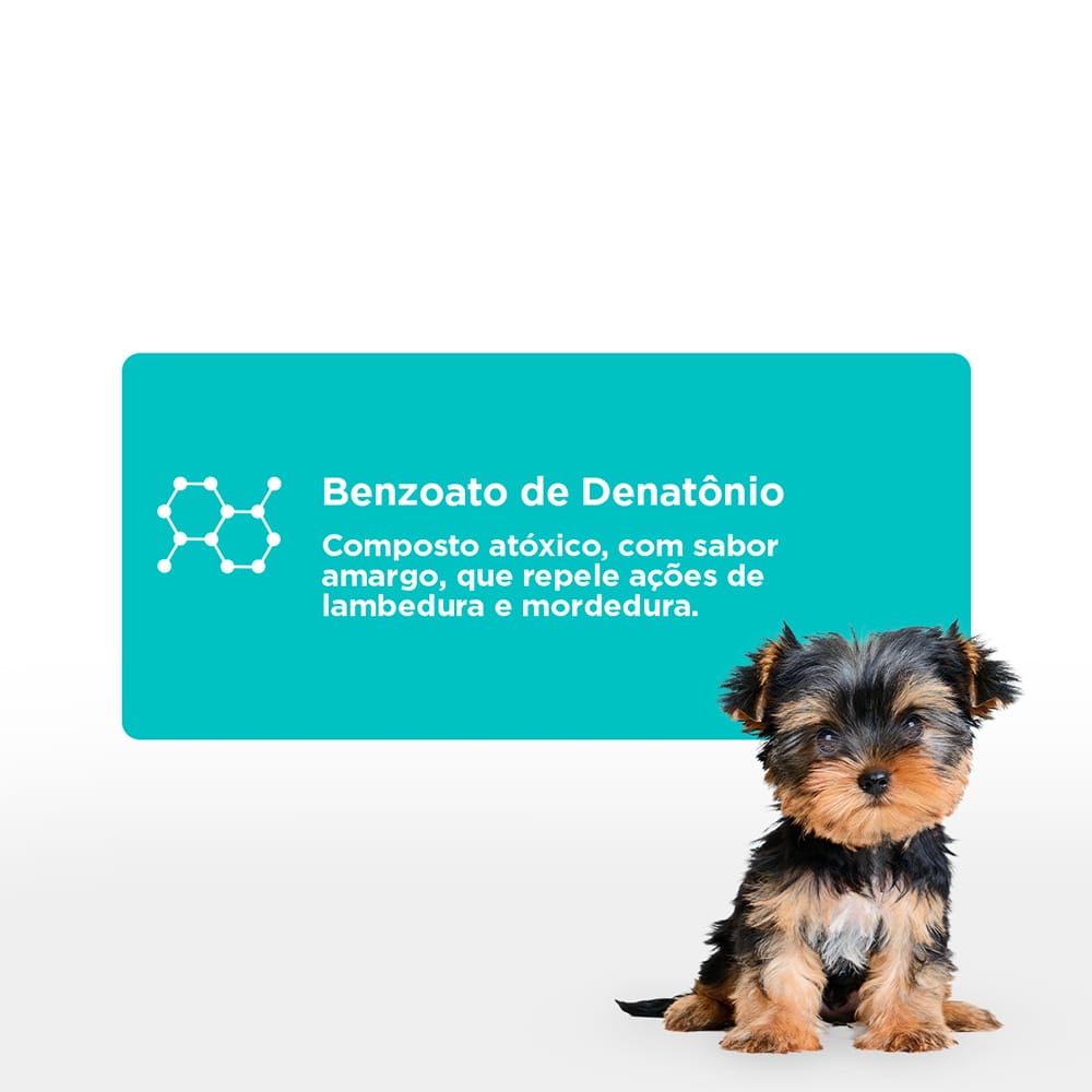 image_9a868973-96da-4907-ae14-f0addbf2b04b