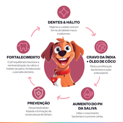 image_ee802f4c-4226-44c2-9058-70b5701d49bf