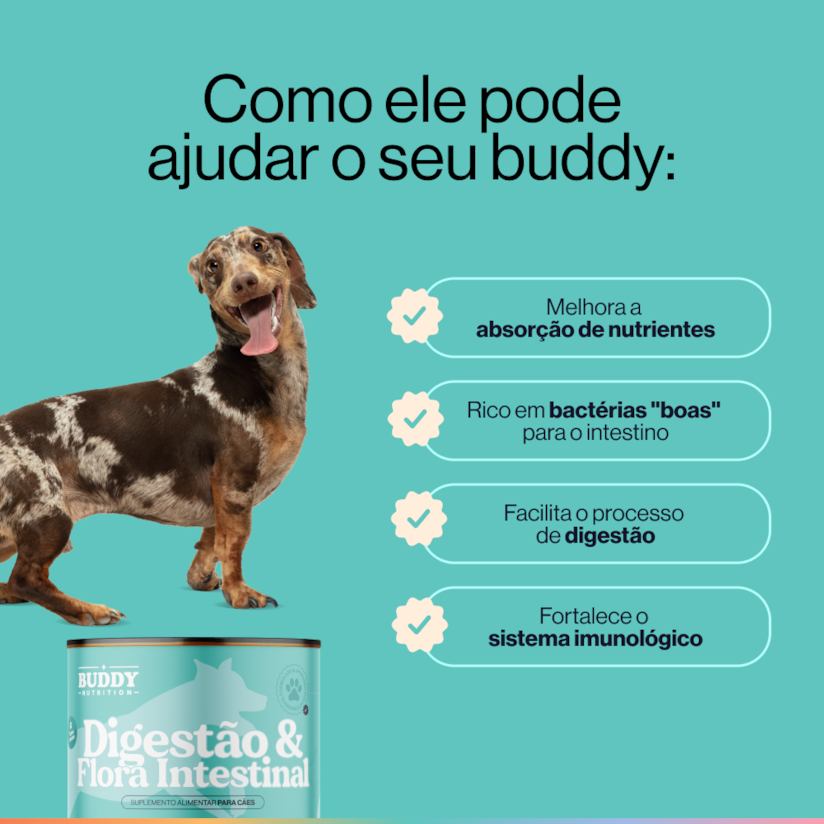 Product main image - 41e12dc7-6ca4-4369-b332-58d268ac46f4